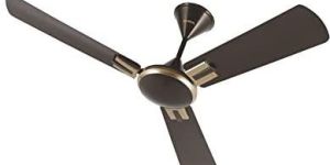 Optimus Fancy Ceiling Fan