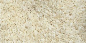 Short Grain Basmati Rice