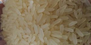 Swarna Non Basmati Rice