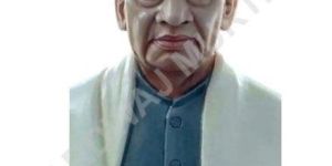 Marble Sardar Patel Statue