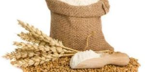 Wheat Flour