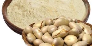 Jackfruit Seed Powder