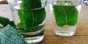 Peppermint Hydrosol Water