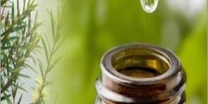 Tea Tree Hydrosol Water