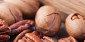 Top Quality of Pecan Nuts