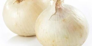 White Onion
