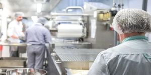 Food Safety Consultancy