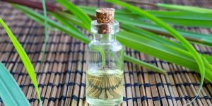 Citronella Oil
