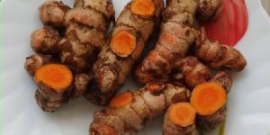 Turmeric Finger