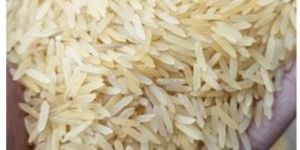 Sugandha Golden Rice