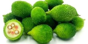 Organic Spiny Gourd