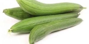 Organic Sponge Gourd