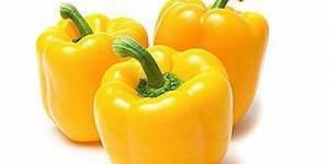 Organic Yellow Capsicum