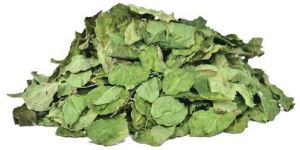 Dried Moringa Leaves