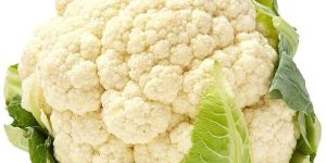 Fresh Cauliflower