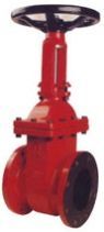 Cs Gate Valve
