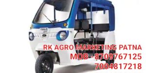 E Rickshaw Treo