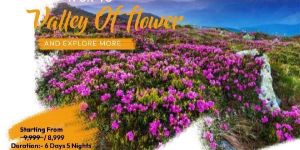 Valley of Flowers Trekking Tour Services