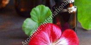 Geranium Essential Oil