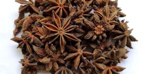 Star Anise