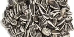 Sunflower Seeds