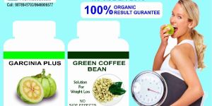 Garcinia Cambogia Extract Powder