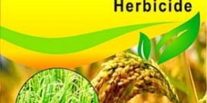 Butachlor 50% EW Herbicide