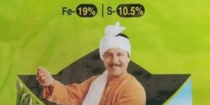 Ferrous Sulphate Fertilizer