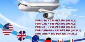 International Freight Forwarder