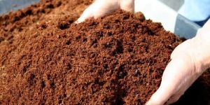 Vermicompost Manure