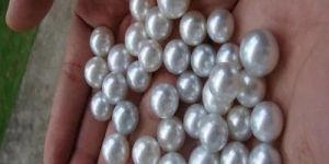 South Sea Pearl