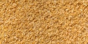 Rice Husk