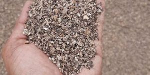 castor doc contact +917600150604