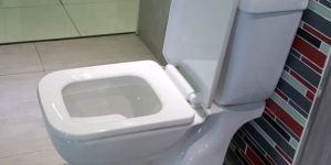 Plain Two Piece Toilet