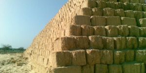 Sugarcane Bagasse