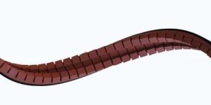Polyurethane Endless Belt