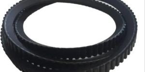 Toothed Belt