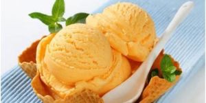 Orange Ice Cream Brick