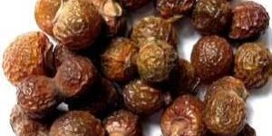 Soap Nuts