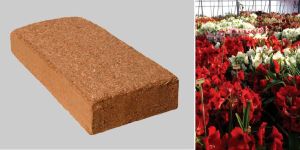 Cocopeat Coir Briquettes
