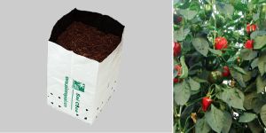 Coir Cocopeat Opentop Growbags