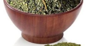 Natural Indigo Leaves