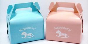 Take Away Packaging Box