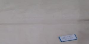 Plain Organza Fabric