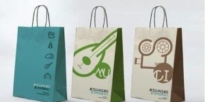 Advertising Paper Bag