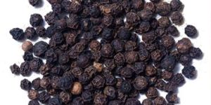 Black Pepper