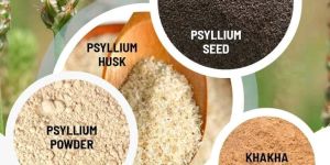 Psyllium Husk