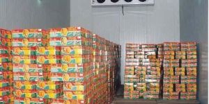 Mango Ripening Chamber