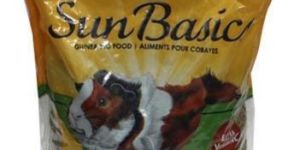 Guinea Pig Food