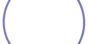 Plastic Hula Hoop Rings